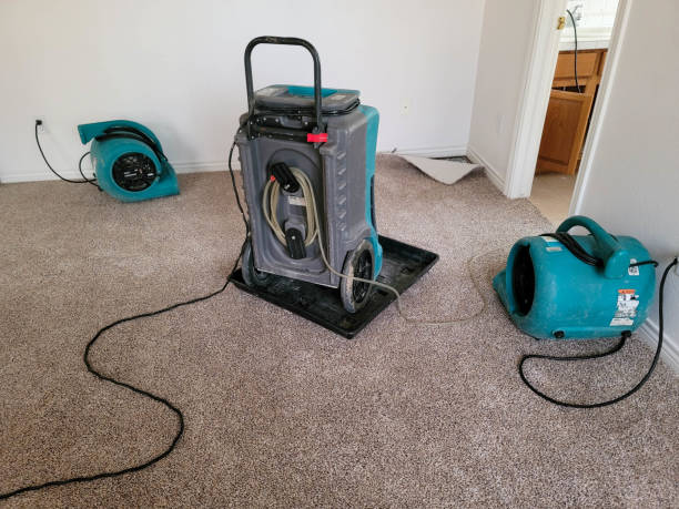 Best Water damage restoration specialists  in Riva, MD