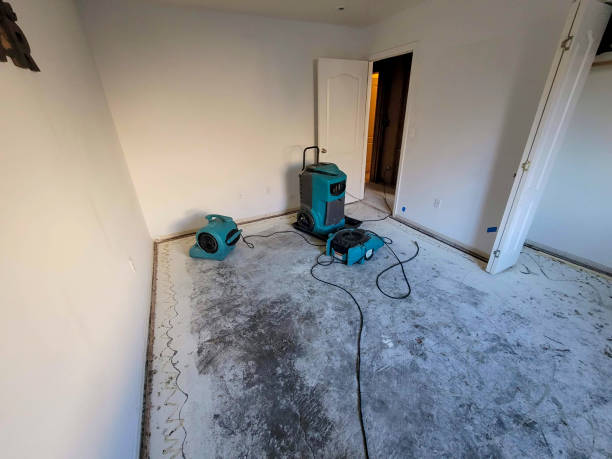 Water damage restoration experts in MD