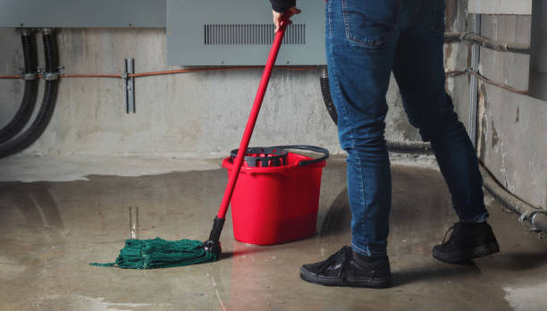 Best Local water damage restoration  in Riva, MD