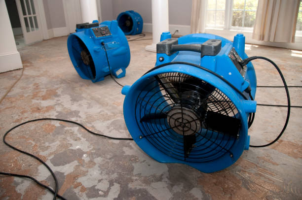 Best Ceiling water damage repair  in Riva, MD