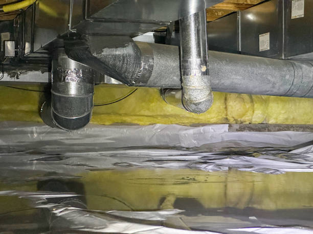 Best Professional water damage repair  in Riva, MD
