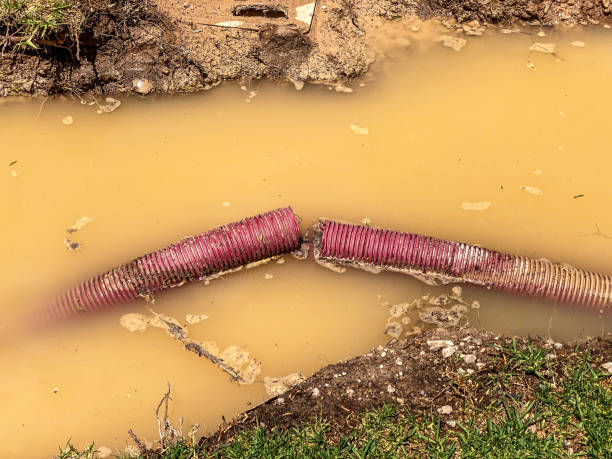 Best Flood restoration services  in Riva, MD