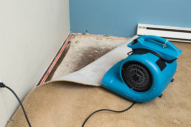 Best Carpet water damage restoration  in Riva, MD